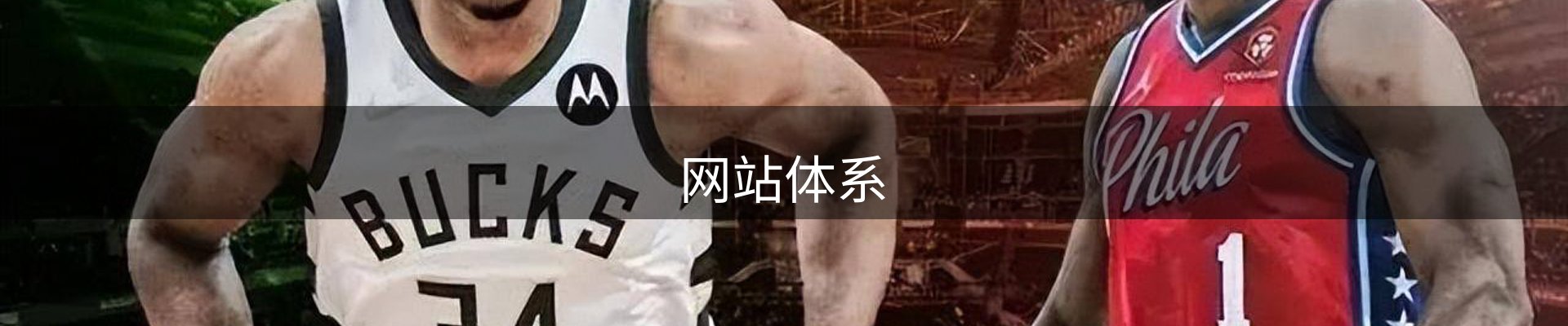 网站体系